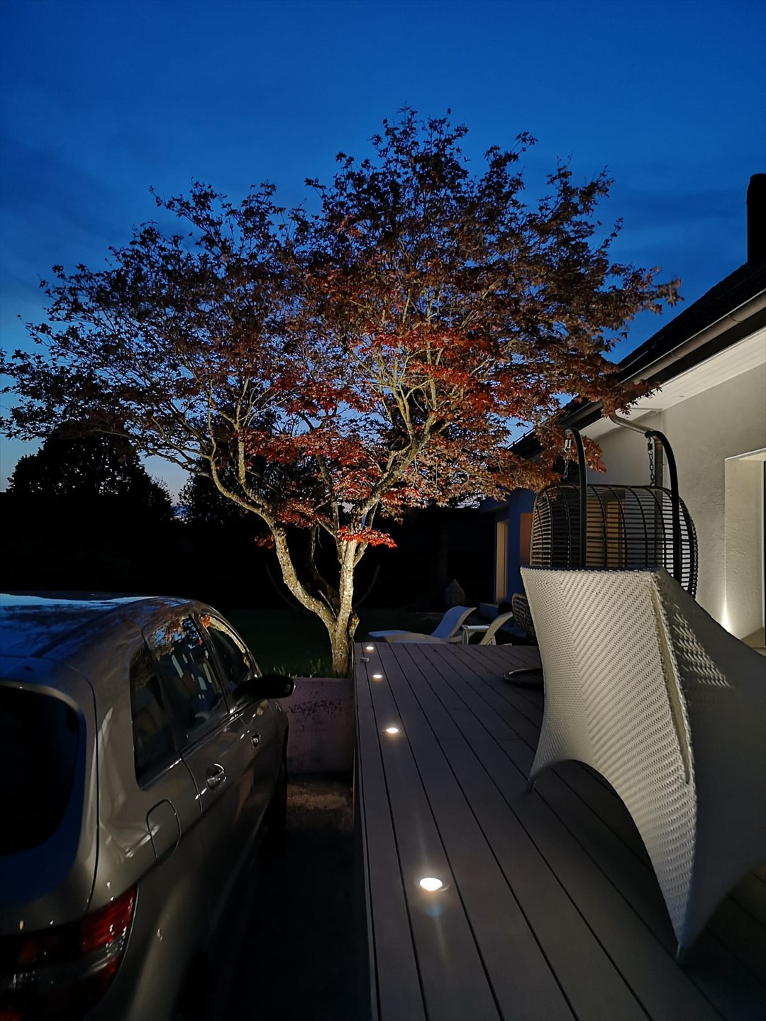 Terrasse Arbre Éclairé